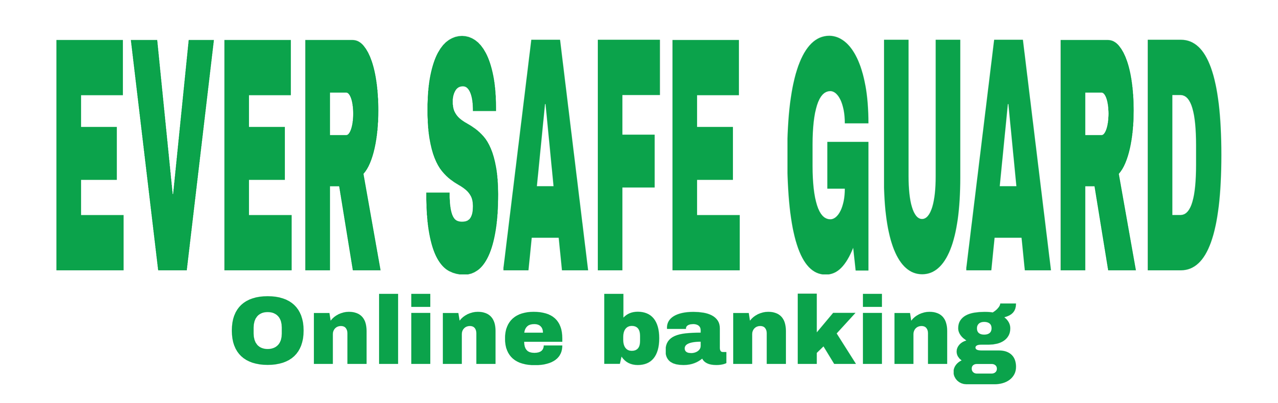 Ever Safe Guard Bank